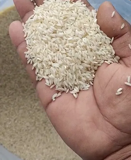 A handful of polished steam Sona Masoori rice grains from SN Trading